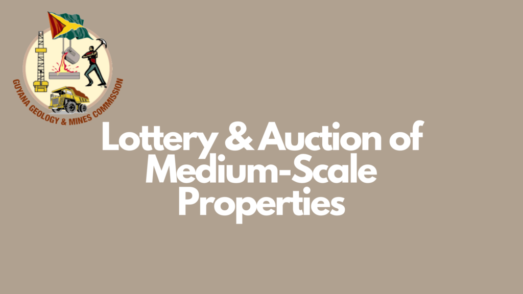 Lottery & Auction of Medium-Scale Properties